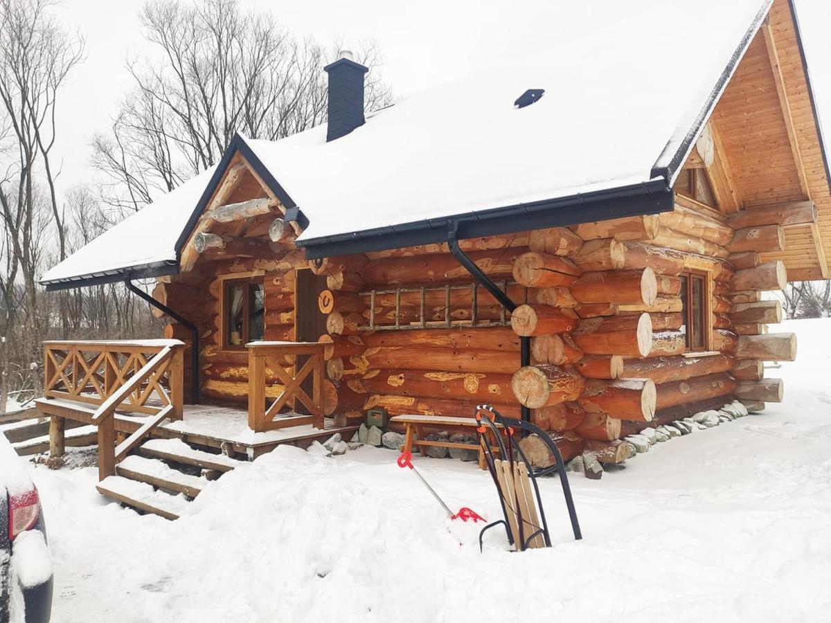 Szepit Villa Lutowiska Bagian luar foto